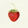 straw_berry_s